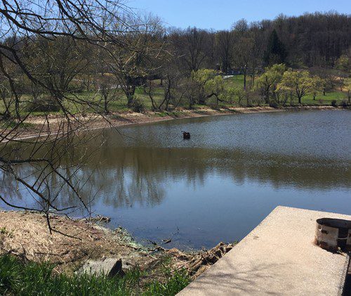 Pond Improvements