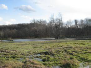 Wetland Mitigation